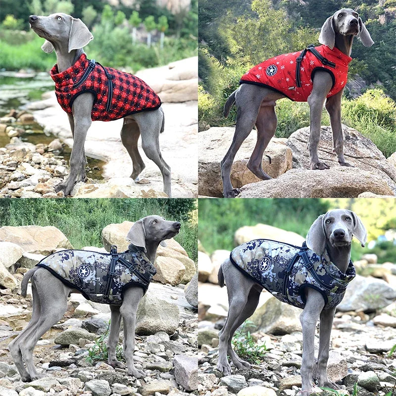 Clover & Tail™ WinterShield Dog Jacket – Waterproof, Harness-Ready Warm Coat for Small to Large Breeds