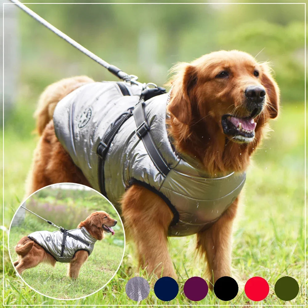 Clover & Tail™ WinterShield Dog Jacket – Waterproof, Harness-Ready Warm Coat for Small to Large Breeds