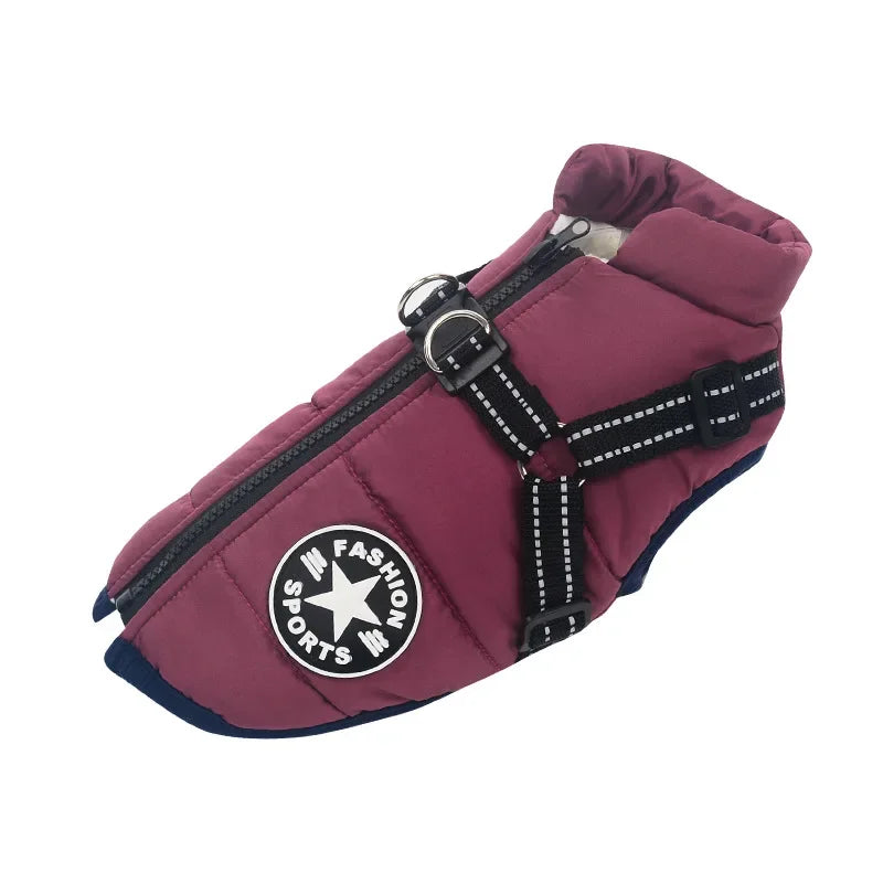 Clover & Tail™ WinterShield Dog Jacket – Waterproof, Harness-Ready Warm Coat for Small to Large Breeds